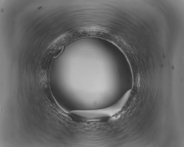 X0000084051062200702161501