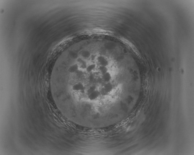 X0000084051063200702161501