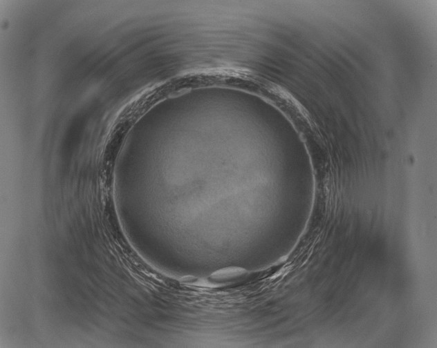 X0000084051064200702161501