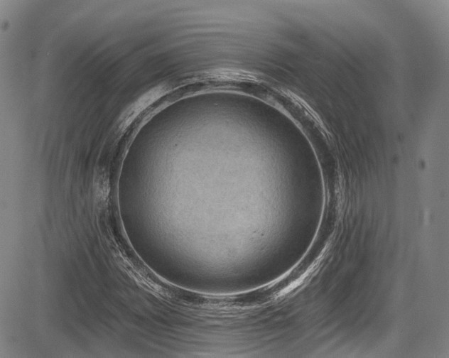 X0000084051065200702161501