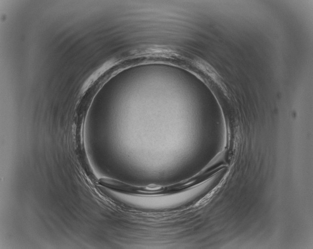 X0000084051066200702161501