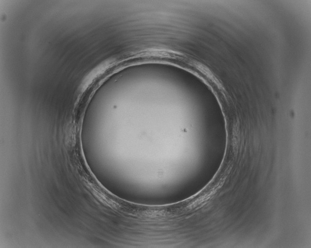 X0000084051067200702161501