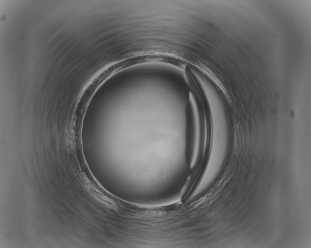 X0000084051068200702161501