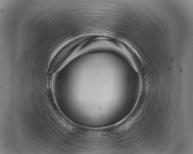 X0000084051069200702161501