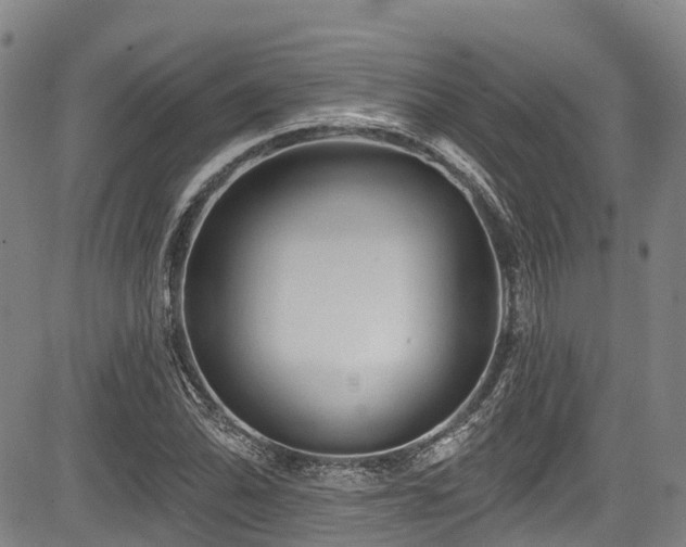 X0000084051070200702161501