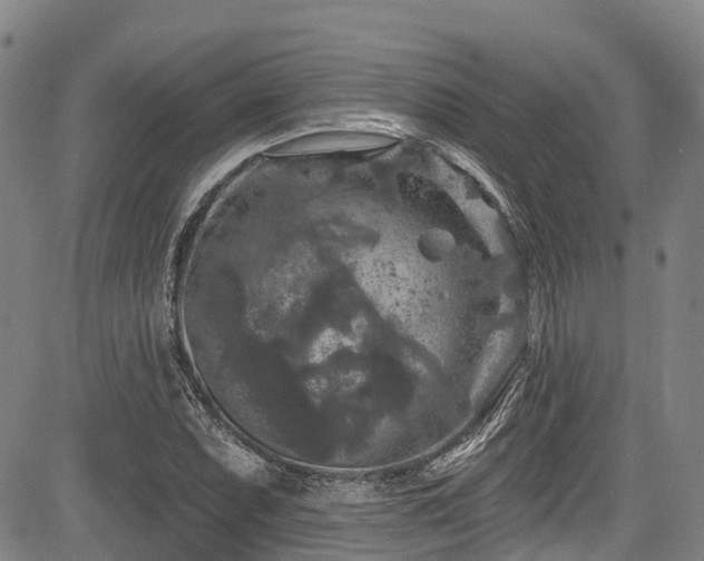 X0000084051071200702161501