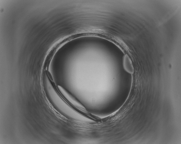 X0000084051072200702161501