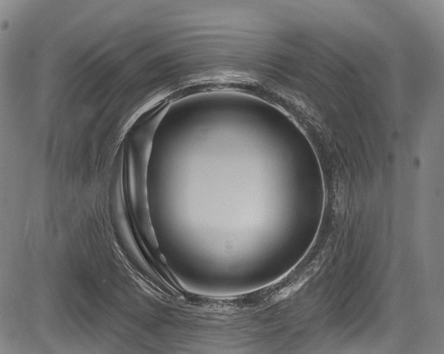 X0000084051073200702161501