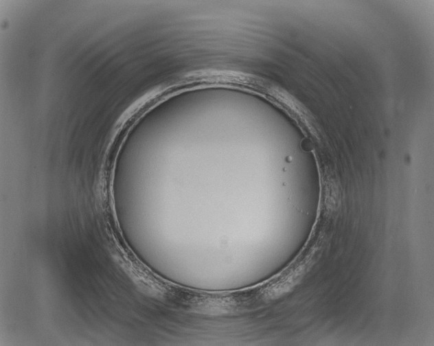 X0000084051074200702161501