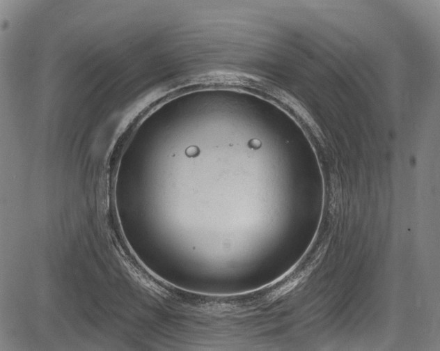 X0000084051075200702161501