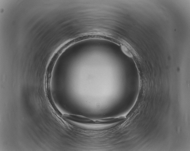 X0000084051076200702161501