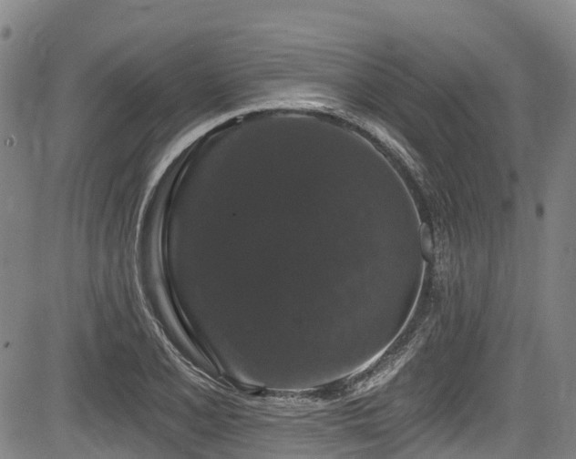 X0000084051077200702161501