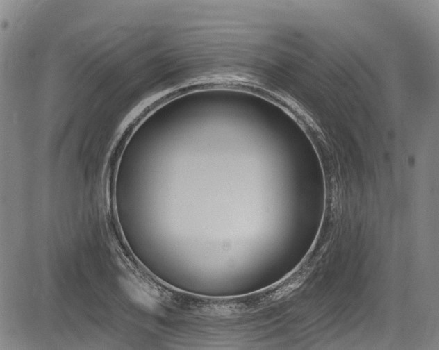 X0000084051078200702161501