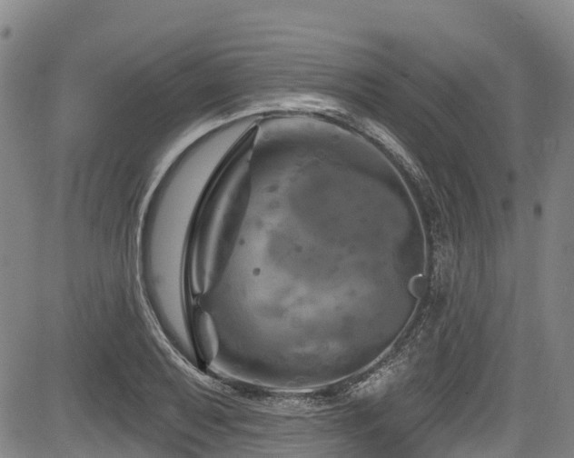 X0000084051079200702161501