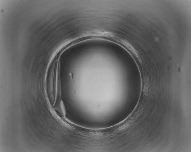 X0000084051080200702161501