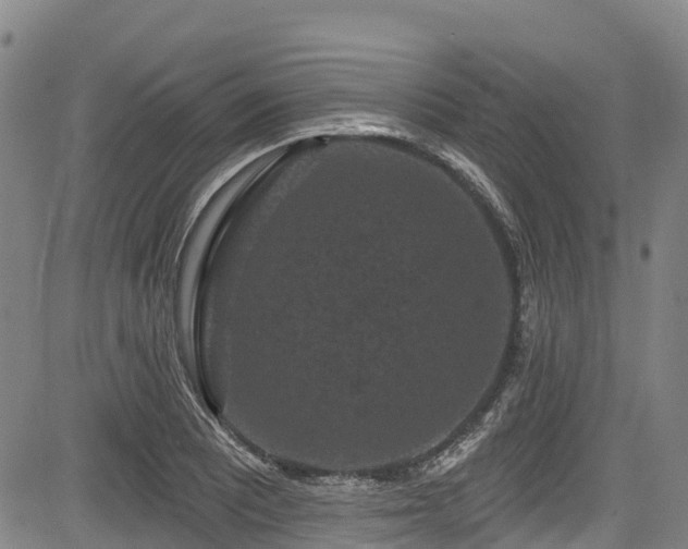 X0000084051081200702161501