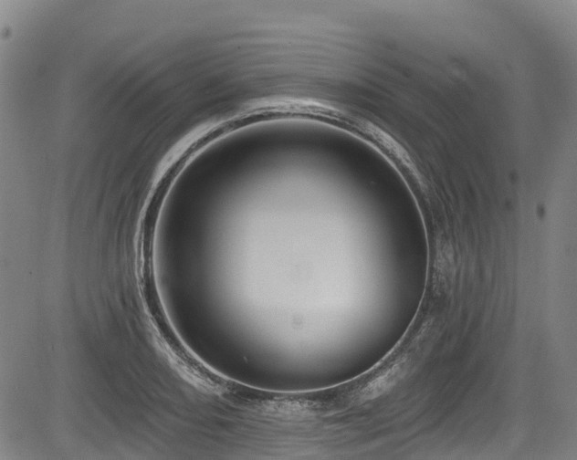 X0000084051082200702161501