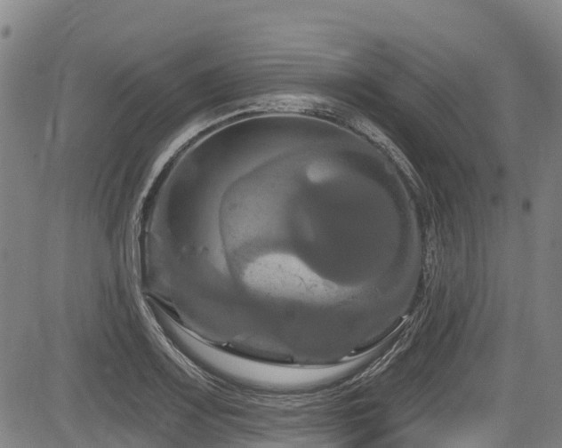 X0000084051083200702161501