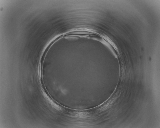 X0000084051084200702161501