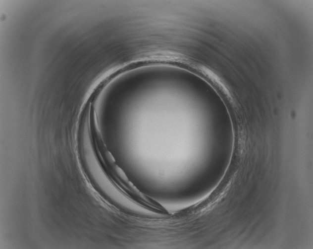 X0000084051085200702161501