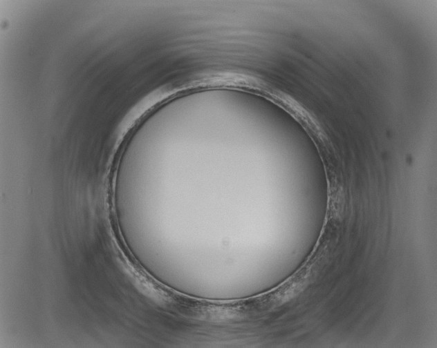 X0000084051086200702161501