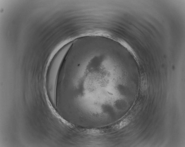 X0000084051088200702161501