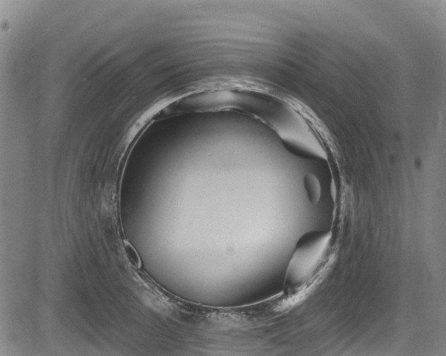 X0000084051089200702161501