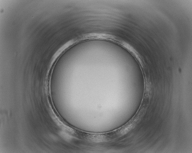 X0000084051090200702161501