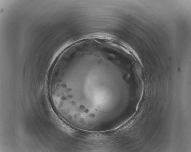 X0000084051091200702161501