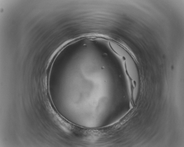 X0000084051092200702161501