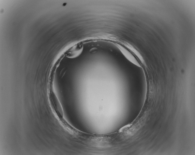 X0000084051093200702161501