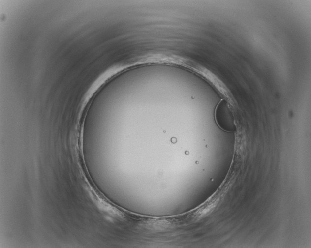 X0000084051094200702161501