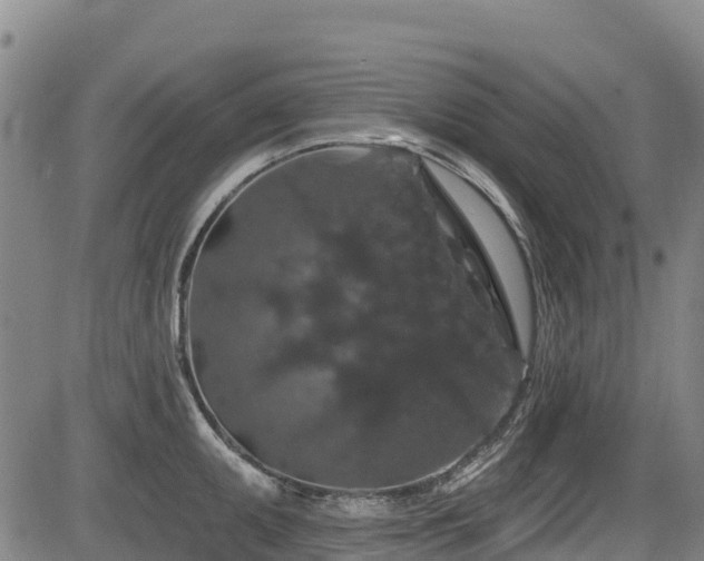 X0000084051095200702161501