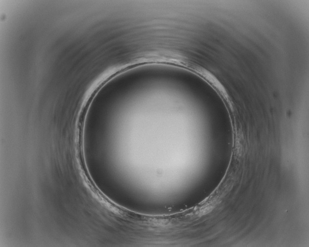 X0000084051096200702161501