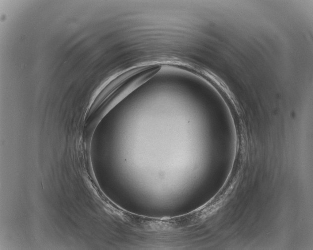 X0000084051097200702161501