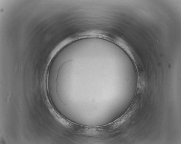 X0000084051098200702161501