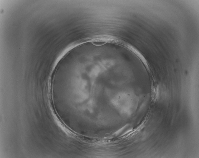 X0000084051099200702161501