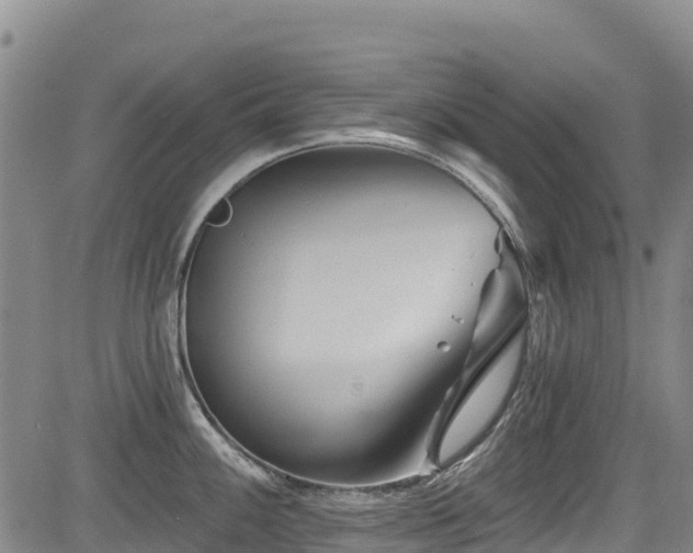 X0000084051100200702161501