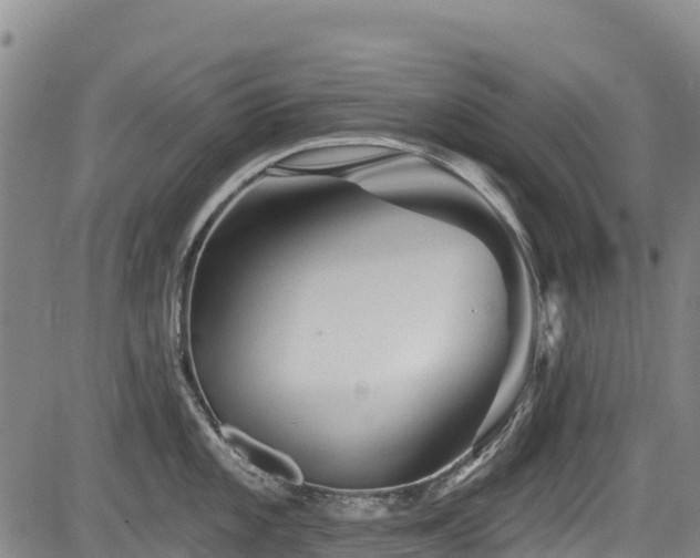 X0000084051101200702161500