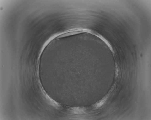 X0000084051102200702161500