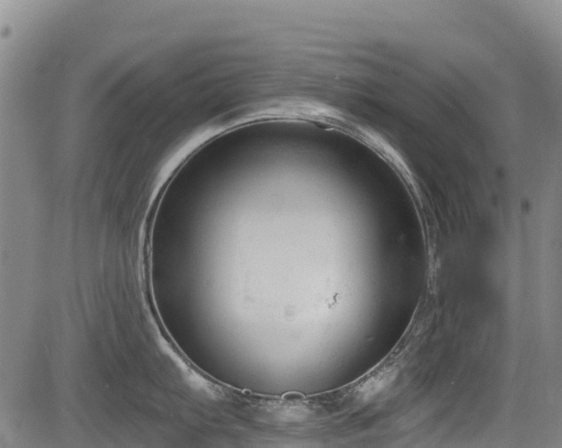 X0000084051103200702161500