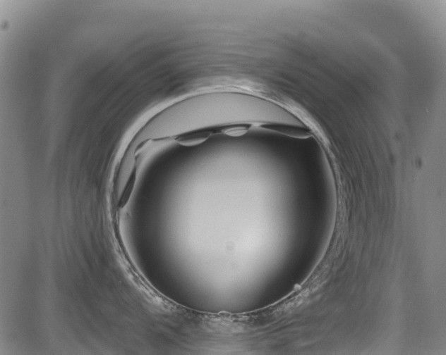 X0000084051104200702161500