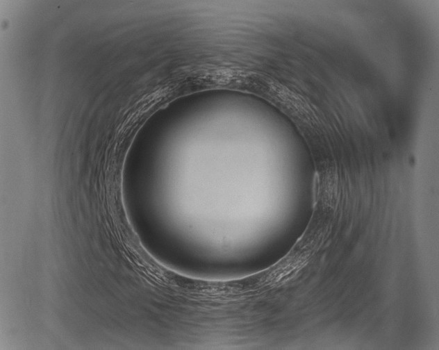 X0000084051105200702161500