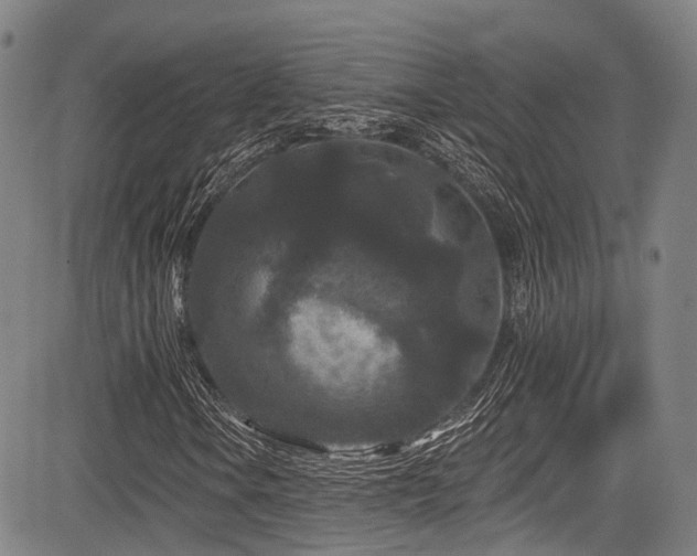 X0000084051106200702161500