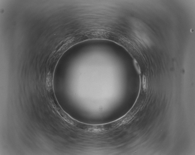 X0000084051107200702161500