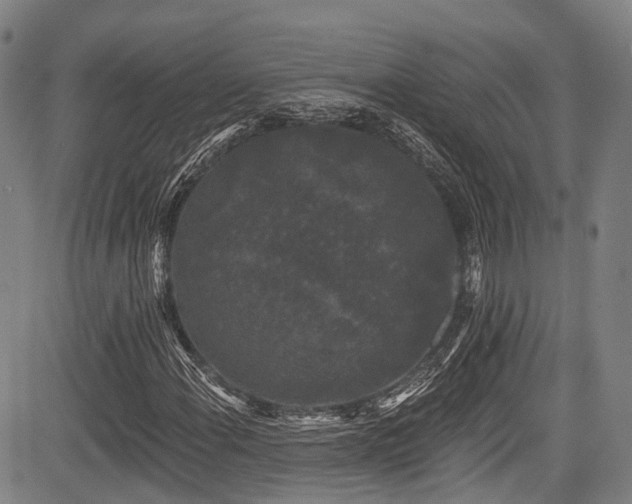 X0000084051108200702161500