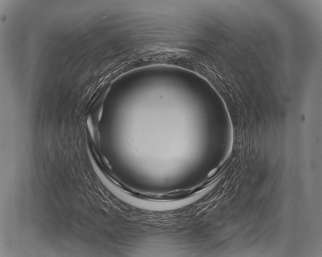 X0000084051109200702161500