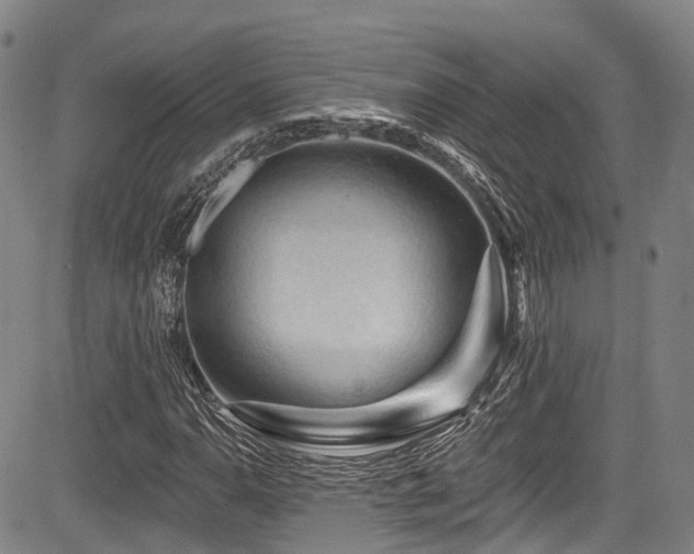 X0000084051110200702161500