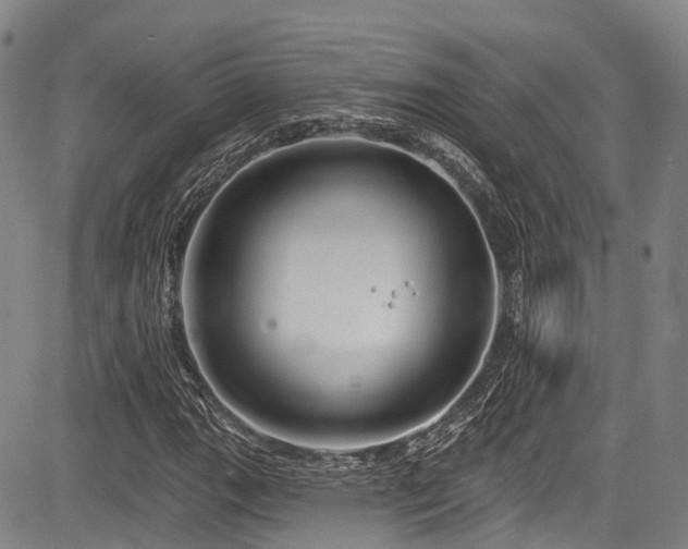 X0000084051111200702161500