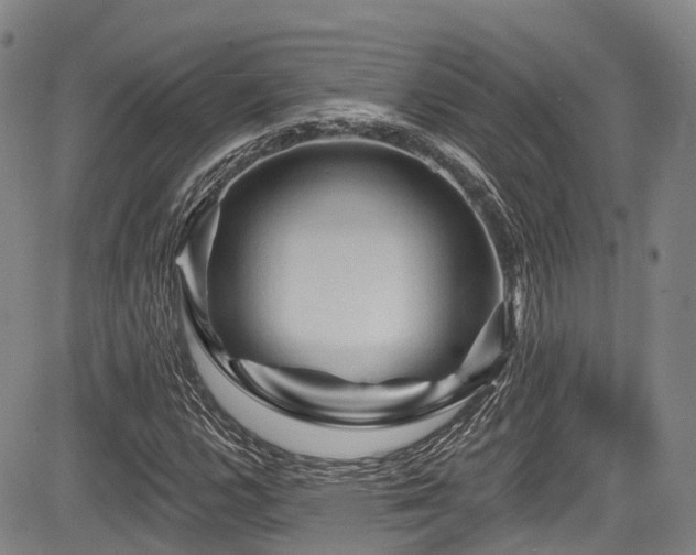 X0000084051112200702161500